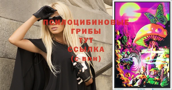 ешки Алзамай