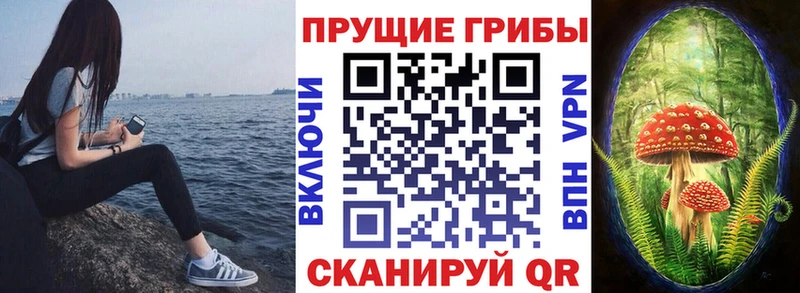 Псилоцибиновые грибы Cubensis Бирюч